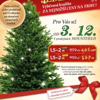 Nejlevnější Vánočních stromků 2014 - Jedle Kavkazská
