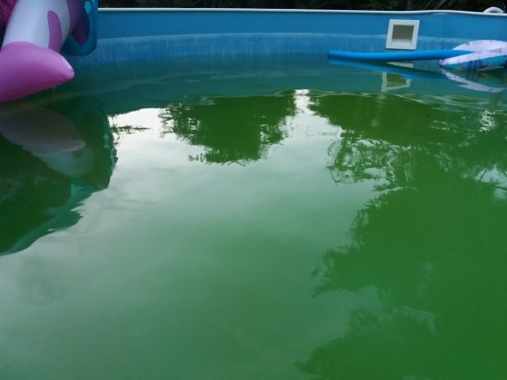 zeleny-bazen